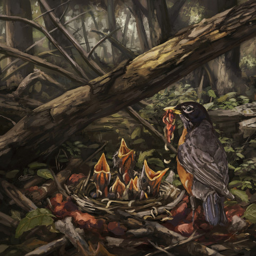 ACACIA STRAIN, THE - Step Into The Light LP