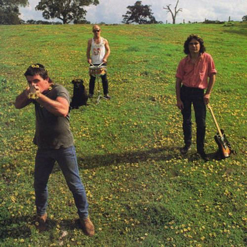 COSMIC PSYCHOS - Down On The Farm LP