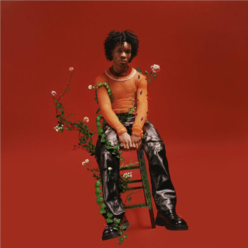 D4VD - Petals To Thorns LP