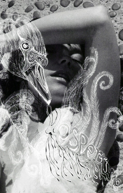 BJORK - Vespertine 2LP - Clarity Records