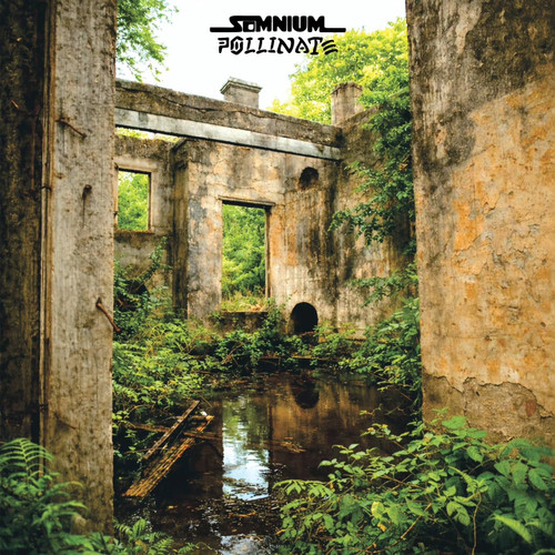 SOMNIUM - Pollinate LP
