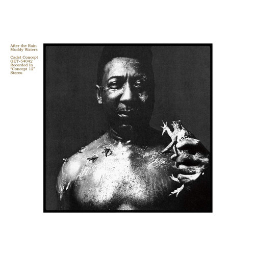 MUDDY WATERS - Electric Mud LP (Snake Cover) - Clarity Records