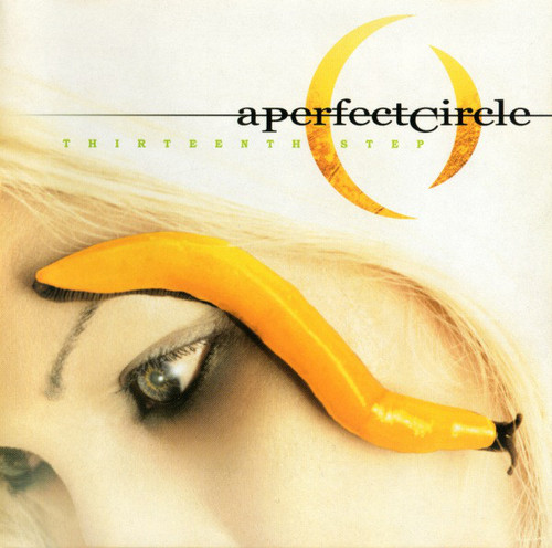 A PERFECT CIRCLE - Thirteenth Step 2LP