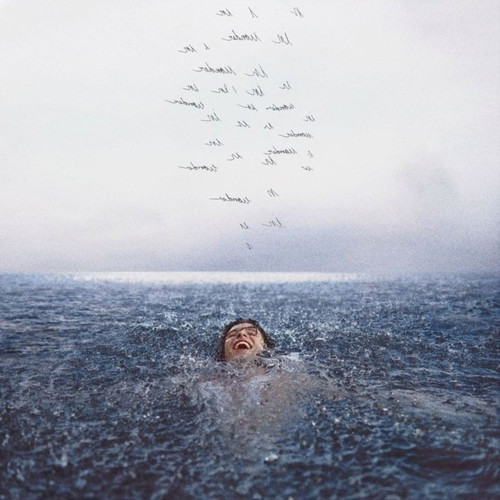 SHAWN MENDES - Wonder LP