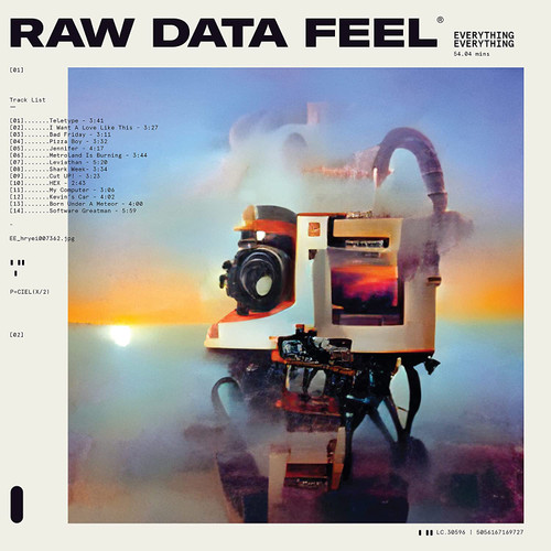 EVERYTHING EVERYTHING - Raw Data Feel LP