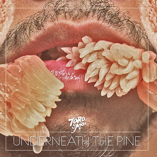 TORO Y MOI - Underneath The Pine LP