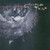 COCTEAU TWINS - Treasure LP