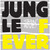 JUNGLE FEVER - Stayin' Alive! LP