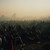 TURNOVER - Down On Earth LP