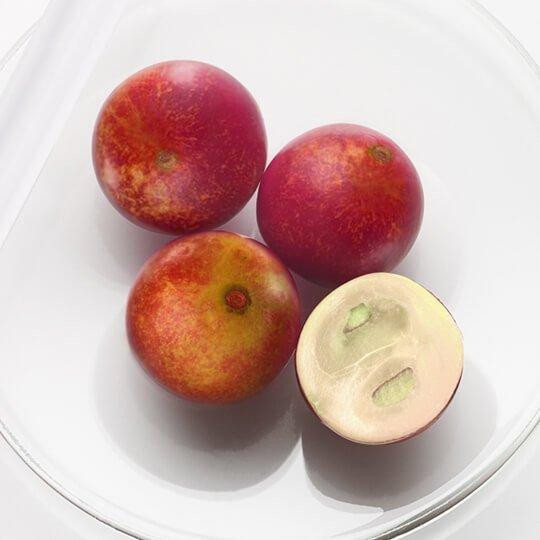 CAMU CAMU