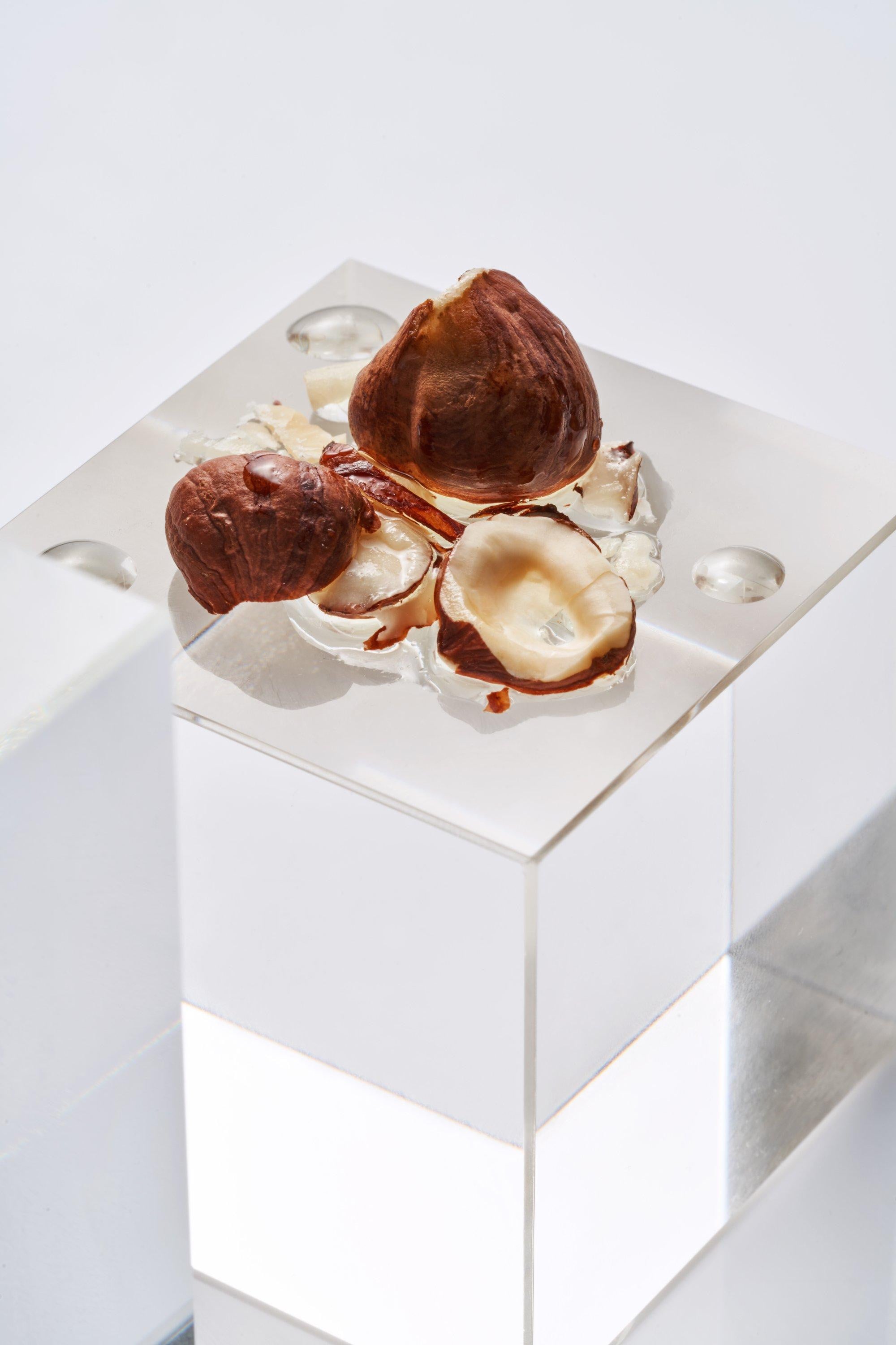 CORYLUS AVELLANA (HAZELNUT) SEED OIL 1