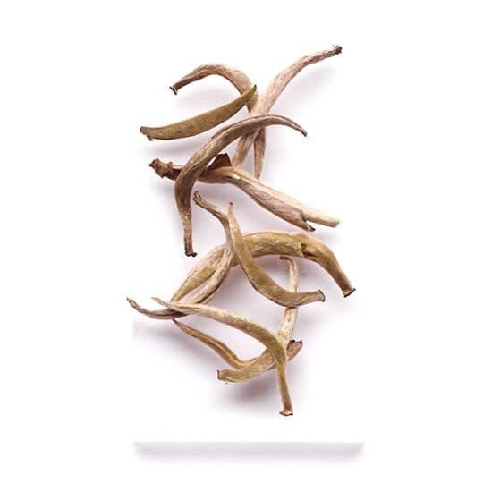 WHITE TEA 1