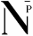 Noble Panacea Logo