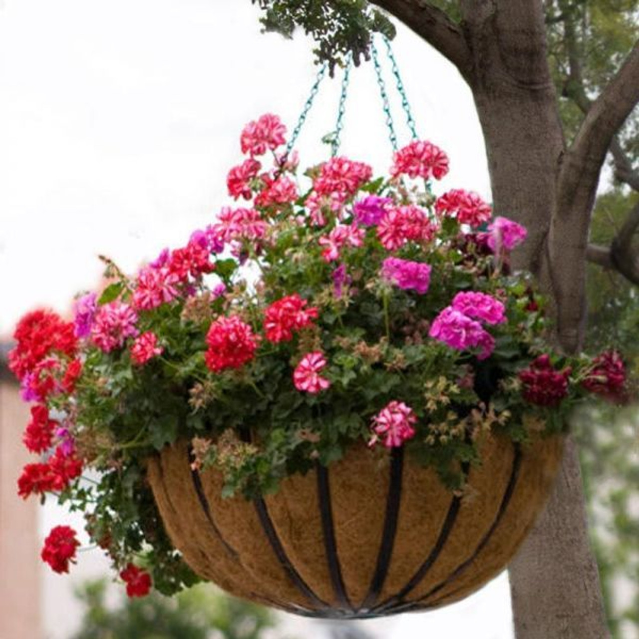 Heavy Duty PolyPro Window Box Liners 3 Colors