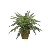 Artificial Boston Fern- 3 Sizes