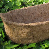 Close up of XL Coconut Coir Liner with green ivy in background