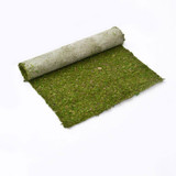 Un-rolling a Preserved Moss Roll