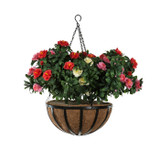 Outdoor Azalea Bundles for Hanging Baskets with red pink and white azaleas