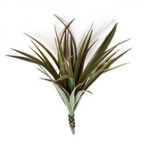 21" Liriope Outdoor UV Rated Bush white background 21" Liriope Outdoor UV Rated Bush white background