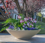 Modern Low Bowl Planters