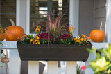 Fall Window Box Ideas Fall Window Box Ideas
