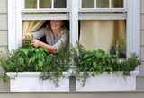 Plant a Window Box Vegetable Garden Plant a Window Box Vegetable Garden