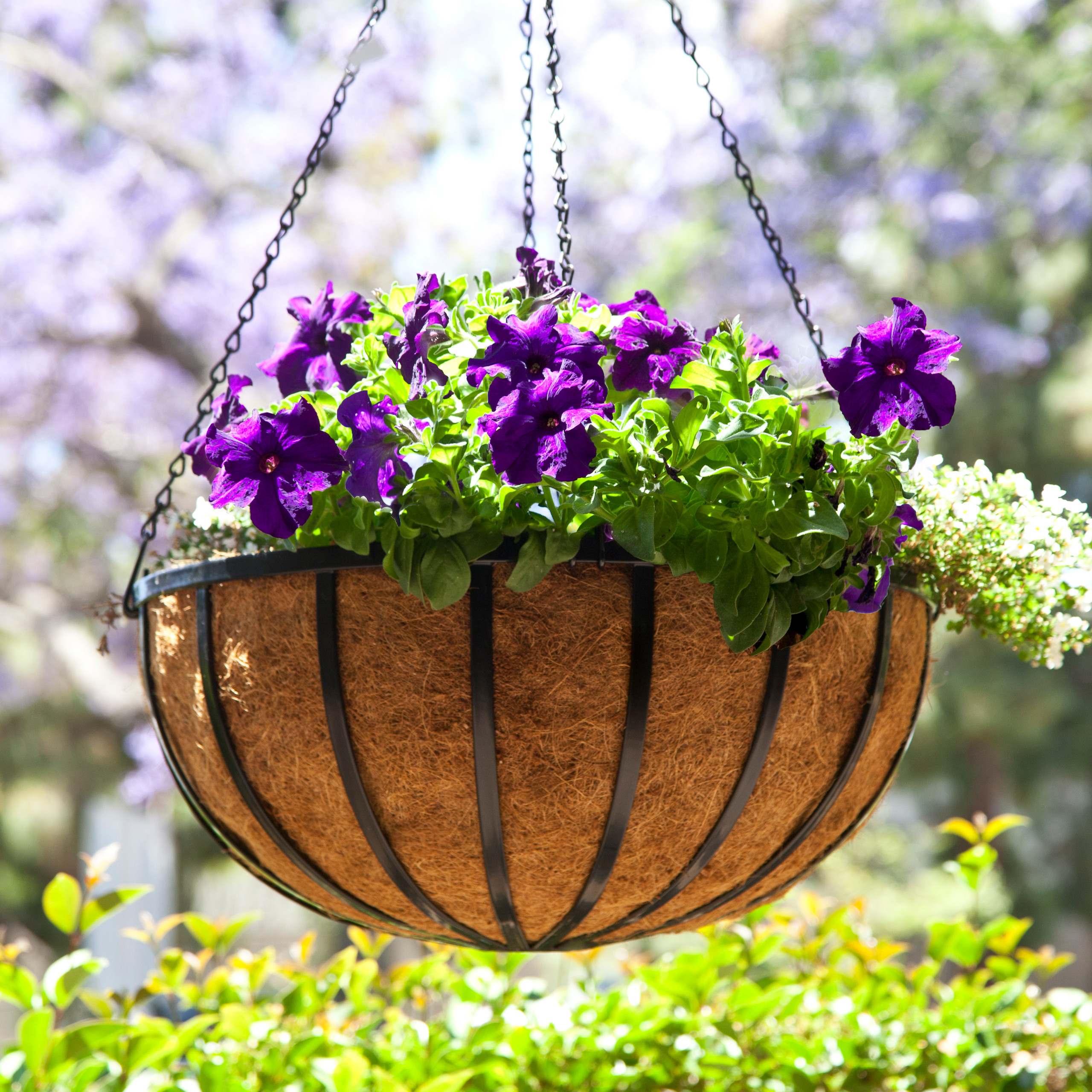 Heavy Duty PolyPro Window Box Liners 3 Colors