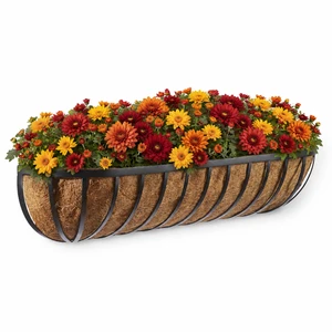 English Garden Window Basket with fall colored flowers on white background