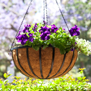 English Garden Hanging basket filled with purple petunias with a greenery background English Garden Hanging basket filled with purple petunias with a greenery background