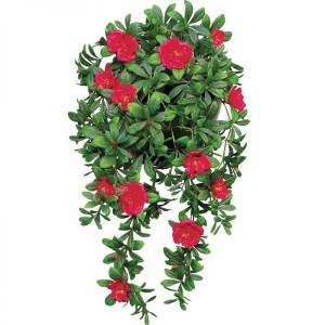 Red Azalea hanging vine UV rated Red Azalea hanging vine UV rated