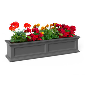 Prestige gray window box with red flowers on white background Prestige gray window box with red flowers on white background