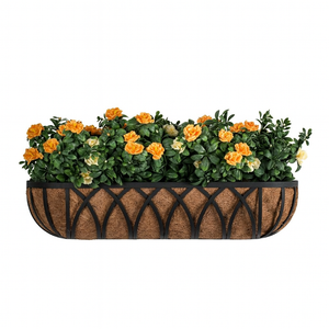 Arch Hayrack with orange and cream azaleas on white background