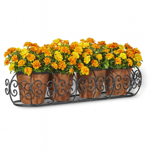 Parisian Window Box with terracotta pots with orange and yellow flowers Parisian Window Box with terracotta pots with orange and yellow flowers