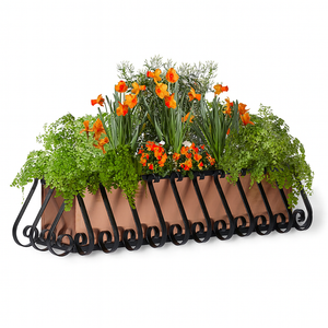 European window box with copper liner planted with orange flowers on white background European window box with copper liner planted with orange flowers on white background
