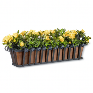 Venetian window box with oil rubbed bronze liner planted with gold flowers on white background Venetian window box with oil rubbed bronze liner planted with gold flowers on white background
