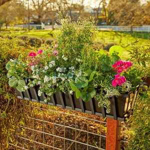 Venetian Railing Planter on rail Venetian Railing Planter on rail