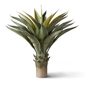UV Outdoor Rated 24" Agave Macroacantha