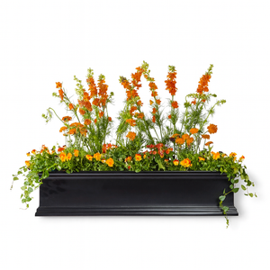 Black Laguna Window Box with fall flowers on white background Black Laguna Window Box with fall flowers on white background