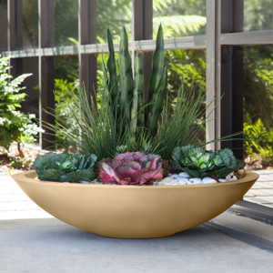 Modern Low Bowl Planter planted with different heights of desert plants in front of office building Modern Low Bowl Planter planted with different heights of desert plants in front of office building