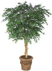 6 Foot Outdoor Rated Japanese Maple Tree- With 1944 Green Leaves and Weighted Base