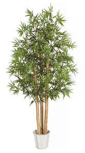 6 Foot Bamboo Outdoor Rated Tree with weighted base 6 Foot Bamboo Outdoor Rated Tree with weighted base