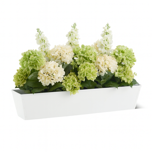 White Galvanized 2-in-1 Metal Tapered Window Box or Liner with green and white flowers on white back ground