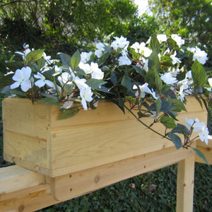 Standard Cedar Rail Top Flower Box on wood rail with planted white flowers Standard Cedar Rail Top Flower Box on wood rail with planted white flowers