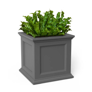 Graphite Gray Prestige Planter with green ferns on white background Graphite Gray Prestige Planter with green ferns on white background