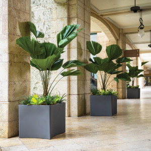 Paso Robles Planter, modern rectangular planters with large green leafy plants in an indoor commercial space.