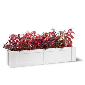 Solera Railing Planter, white rectangular outdoor planter with vibrant red and purple foliage plants.