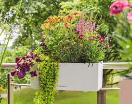 5 Easy Tips for Crafting Your Spring Window Box