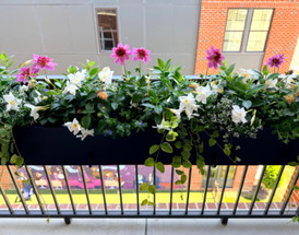 The Art of Styling the Perfect Railing Planter