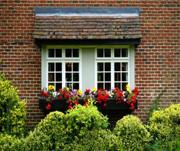 How to Plant a Window Box: A Beginner’s Guide