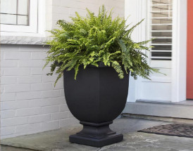 The Curb Appeal Playbook